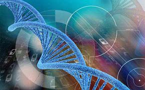 第四代试管婴儿