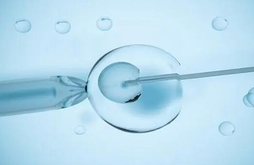 移植时医手法也很重要，技术不佳会导致胚胎着床失败