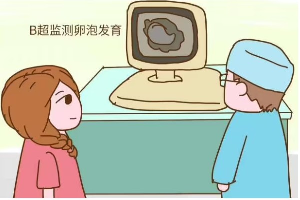 日本试管助孕成功率大吗，日本三代试管
