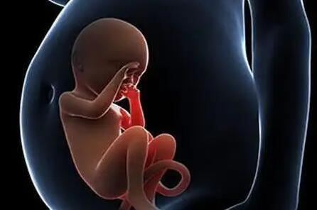 高龄试管婴儿取得多少卵子合适，试管婴儿有可能得到双胞胎吗