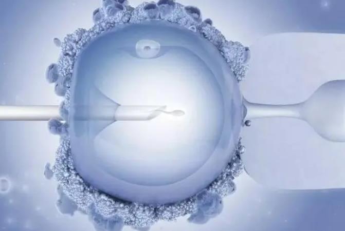 3方面告诉你为什么胚胎怕高温不止是怕影响试管着床