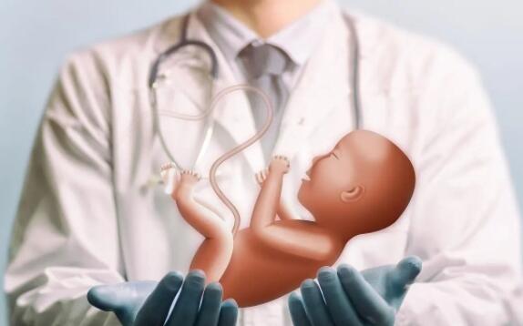马来西亚试管婴儿攻略，阿尔法医院，AFC囊胚移植的成功率曝光