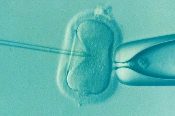 2024泰国全球殖中心试管费用指南孕诚助孕支出明细参考