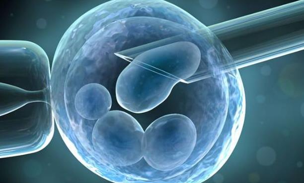 试管促排卵子越多越好吗，揭晓试管成功率的几大影响因素