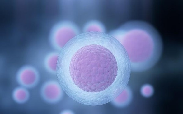 什么是卵巢过度综合征，对试管婴儿有什么影响