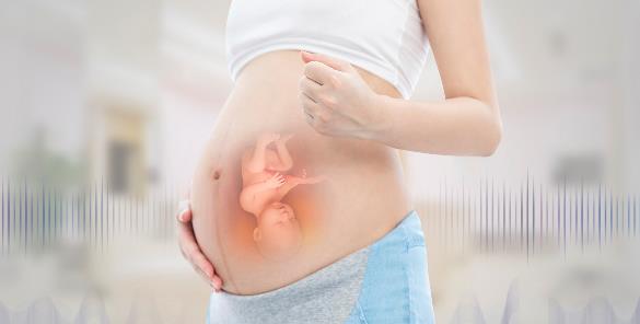 网传医认为第6天移植的囊胚都是女孩是真的吗