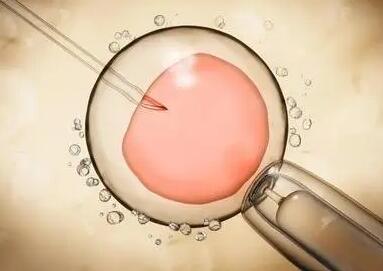 试管婴儿冻胚后需要多少费用试管婴儿冻胚胎费用