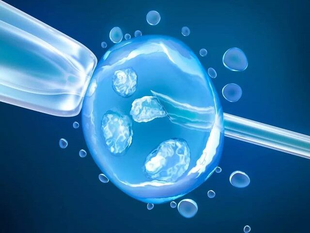自然周期移植冻胚流程分享，所需时间并不是很长